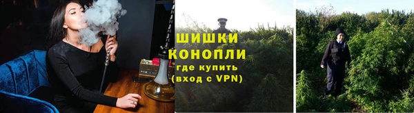 индика Лагань