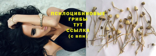 ГАЛЛЮЦИНОГЕННЫЕ ГРИБЫ Лабытнанги