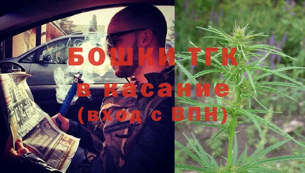 индика Лагань
