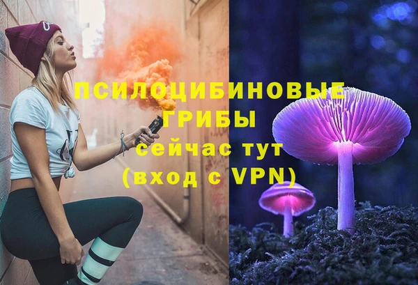 ГАЛЛЮЦИНОГЕННЫЕ ГРИБЫ Лабытнанги