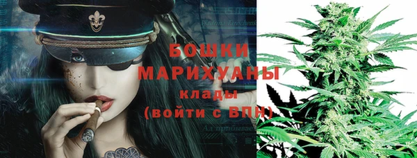 индика Лагань