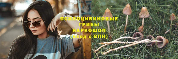 ГАЛЛЮЦИНОГЕННЫЕ ГРИБЫ Лабытнанги